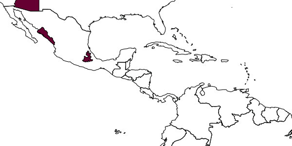 map of Apenesia malinche     Evans, 1963